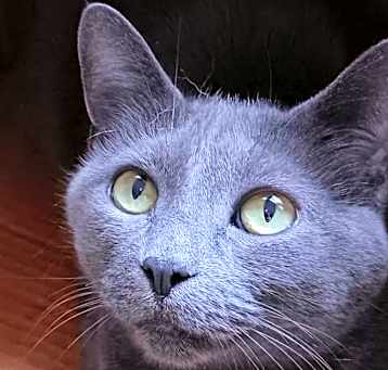 Photo of Tasha