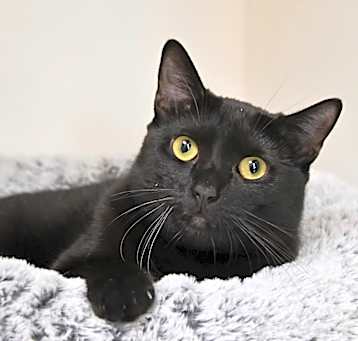 Photo of Mona