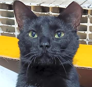 Photo of Little One