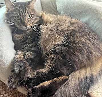 Photo of Mama Tabitha