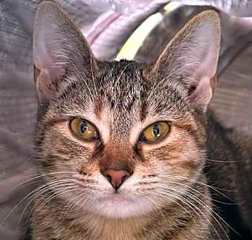 Photo of Holly
