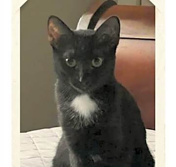 Photo of Tina