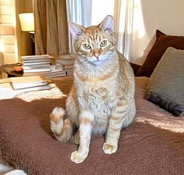 Photo of Chunker