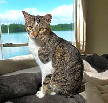 Photo of Toralei