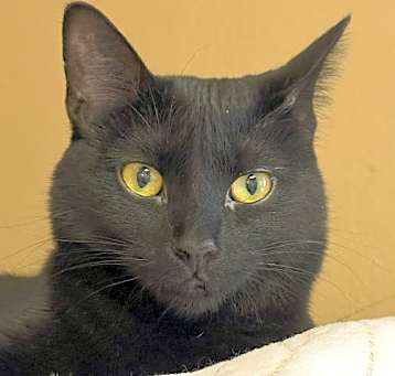 Photo of Reggie
