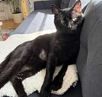Photo of Bob