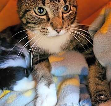 Photo of Aleister