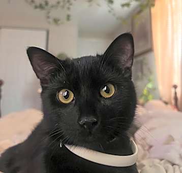Photo of Remi