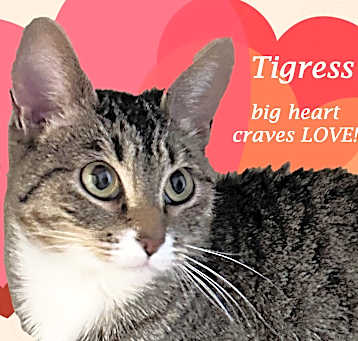 Photo of TIGRESS