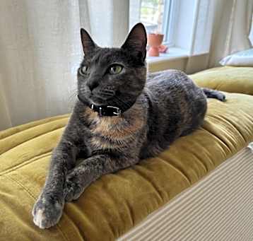 Photo of Kyra