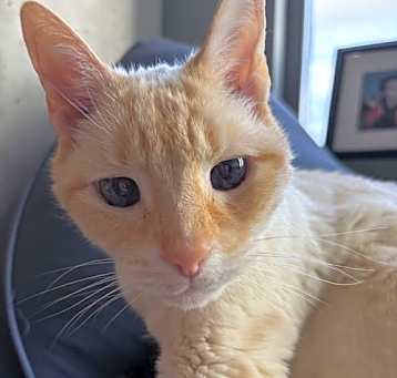Photo of Hobbes