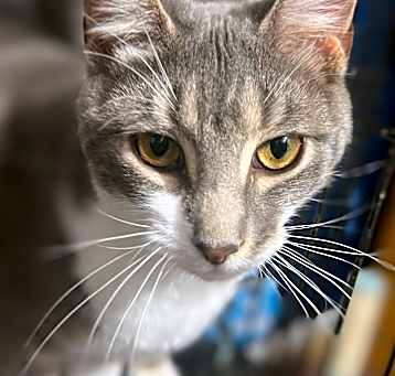 Photo of Gizelle