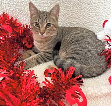 Photo of Max