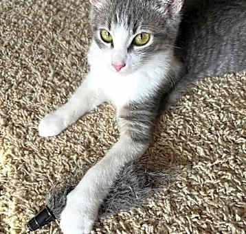 Photo of Sylvie