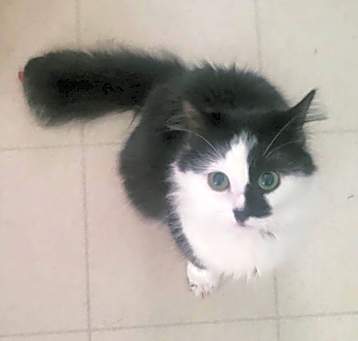 Photo of Skadi