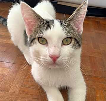 Photo of Thomas