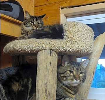Photo of Hugo and Leo