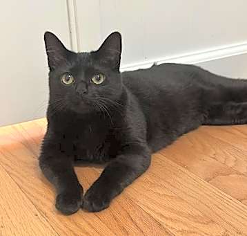 Photo of Betty