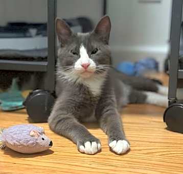 Photo of Carl