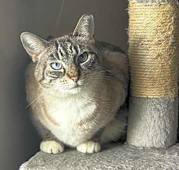 Photo of Jules
