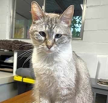 Photo of Fifi