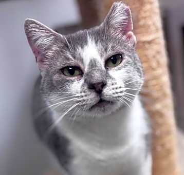 Photo of Diaga