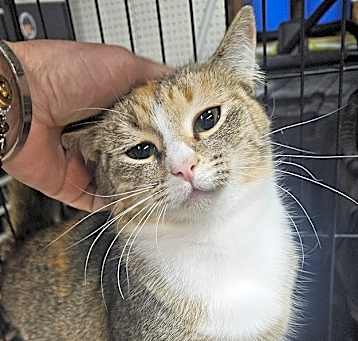 Photo of Sally