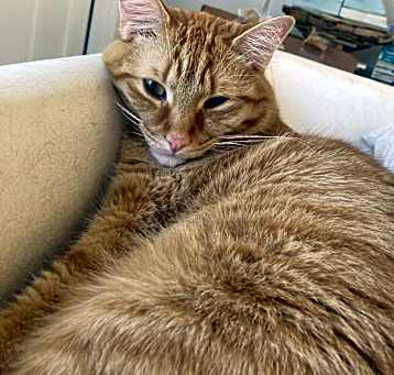 Photo of Elliott (brother of Lewis)