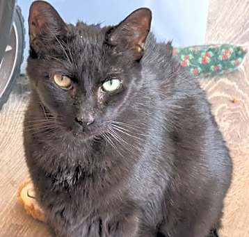 Photo of Zak Loki