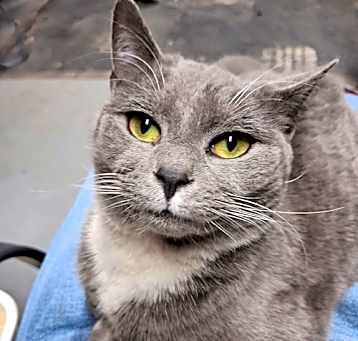 Photo of Lacie Gray