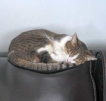 Photo of Soturi