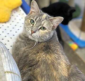 Photo of Betty