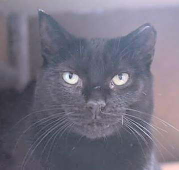 Photo of Popcorn