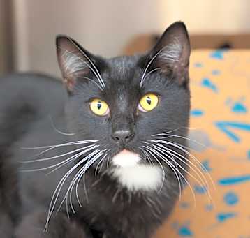 Photo of Mr. Wasabi