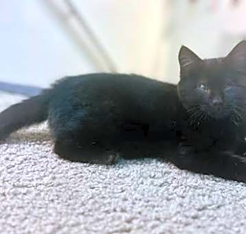 Photo of Willy
