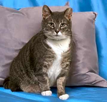 Photo of Buddy