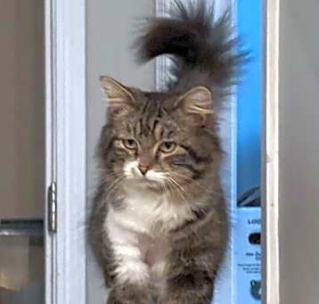 Photo of Lawrence