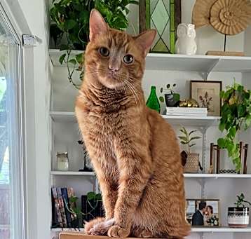 Photo of Archie