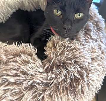 Photo of Stormy