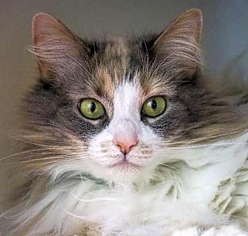 Photo of Eviee