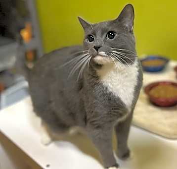 Photo of Honey