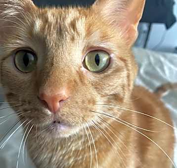 Photo of Percy