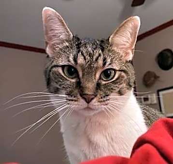 Photo of Punky