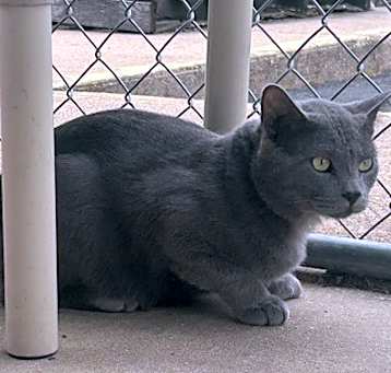 Photo of Ozzie