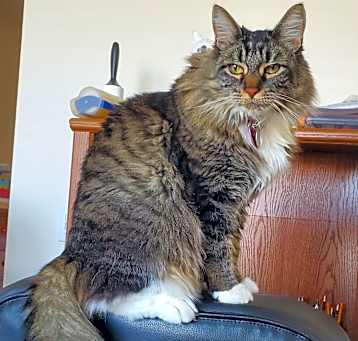 Photo of Boots
