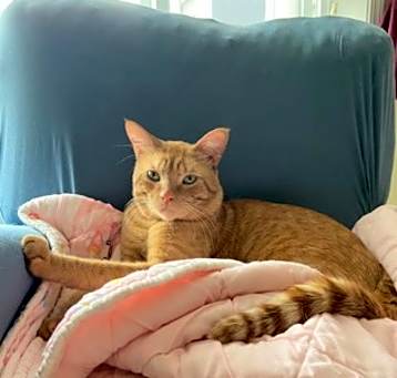 Photo of Ronald (with Chai)