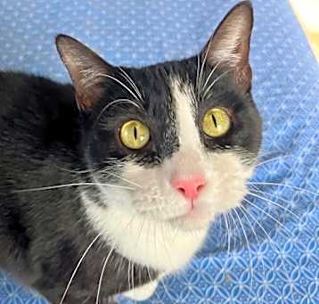 Photo of Polly