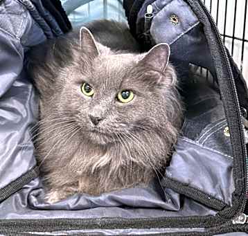 Photo of Jeter