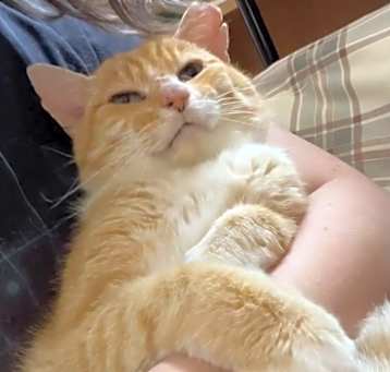 Photo of Boo Boo