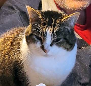 Photo of Momma T